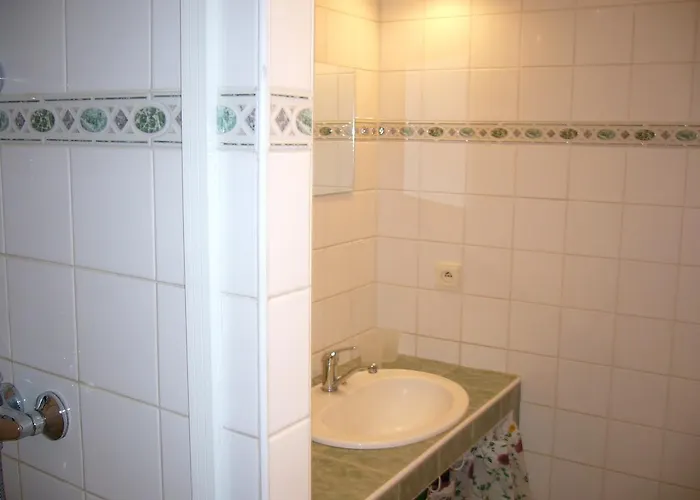 Dağ evi Ala *